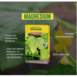 EcoStyle Magnesium 1kg
