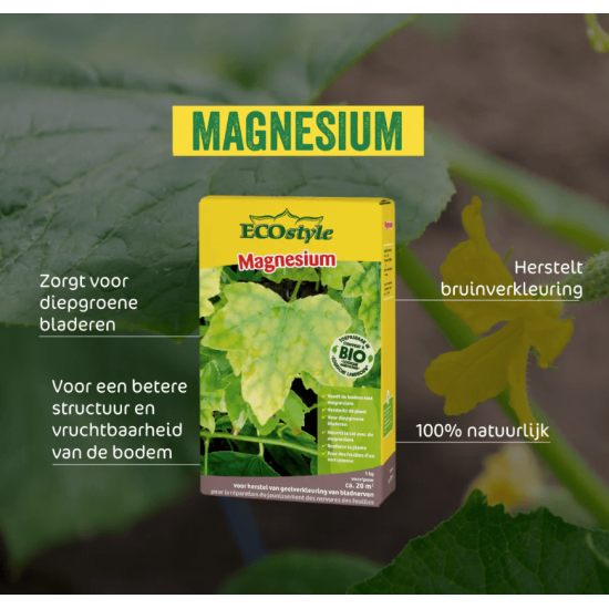 EcoStyle Magnesium 1kg
