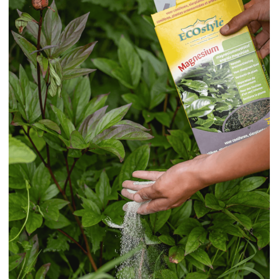 EcoStyle Magnesium 1kg