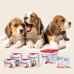 Puppymelk Lactol Beaphar 1kg