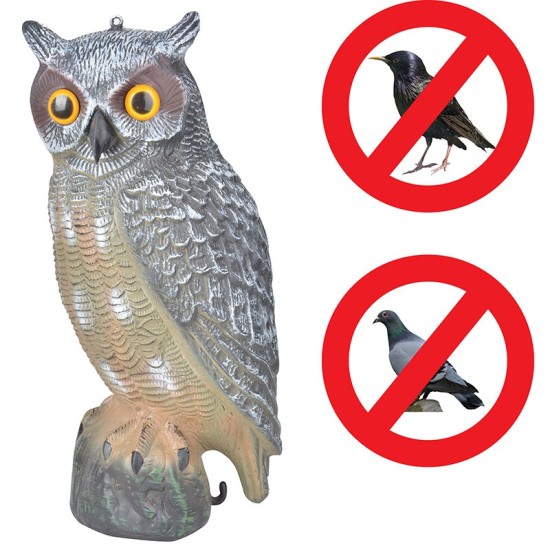 Vogelverschrikker uil
