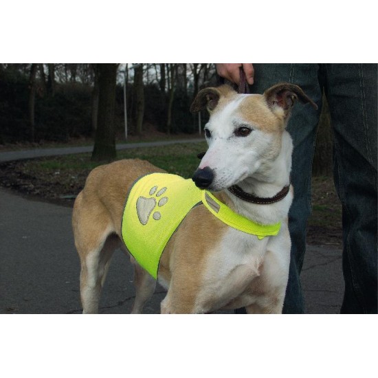Veiligheidsvest hond reflecterend M