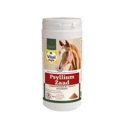 VitalStyle PsylliumZaad 800 gram