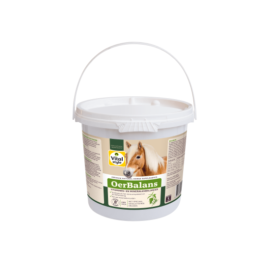 VitalStyle OerBalans Brok 4kg 