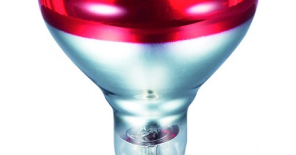 NCC Licht Kweeklicht, Warmtelamp, Warmtestraler, Infrarood Rood Licht Br125 250 W Rood Voor Dieren Kippen Biggen Beschermingsmand 5 M Kabel En Stekker 3270395885