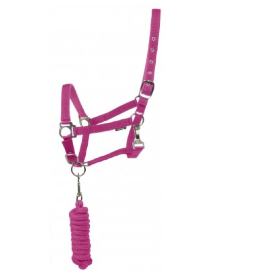 Halster Set Dime pink