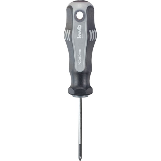SCHROEVENDRAAIER, PH0X60 MM