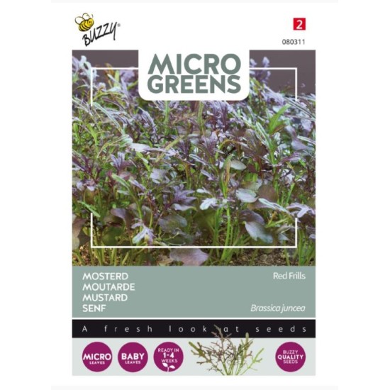 Buzzy Microgreens Mosterd Red Frills