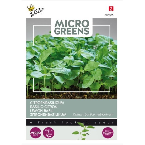 Buzzy Microgreens Citroenbasilicum Buzzy Microgreens Citroenbasilicum