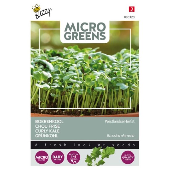 Buzzy Microgreens Boerenkool Westlandse Herfst Buzzy Microgreens Boerenkool Westlandse Herfst