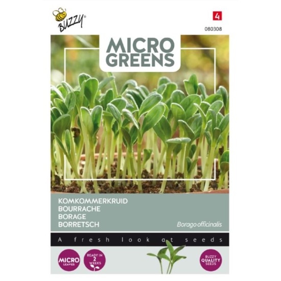Buzzy Microgreens Borage (komkommerkruid)