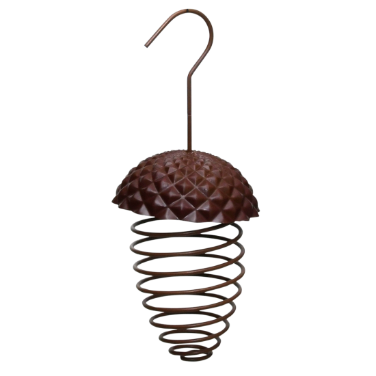 Vogelvoederveer eikel