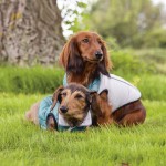 Hondenjas Maly lichtgrijs/groen 28cm