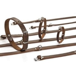 Beeztees lederen halsband bruin 27x10