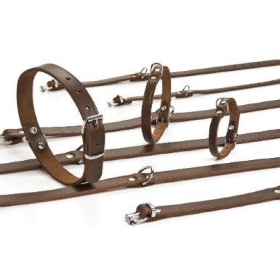 Beeztees lederen halsband bruin 27x10