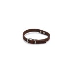 Beeztees lederen halsband bruin 37X12 Beeztees lederen halsband bruin 37X12