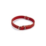 Beeztees lederen halsband rood 42x16 Beeztees lederen halsband rood 42x16