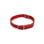 Beeztees lederen halsband rood 47x18 Beeztees lederen halsband rood 47x18