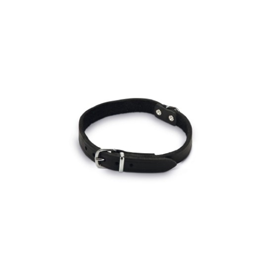 Beeztees lederen halsband zwart 47x18