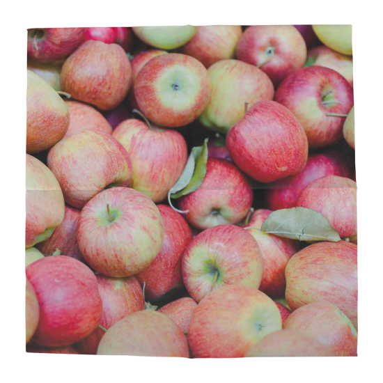 Papieren servetten appels 20 stuks