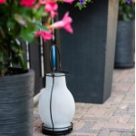 Led solar olielamp glas met flame lamp Led solar olielamp glas met flame lamp