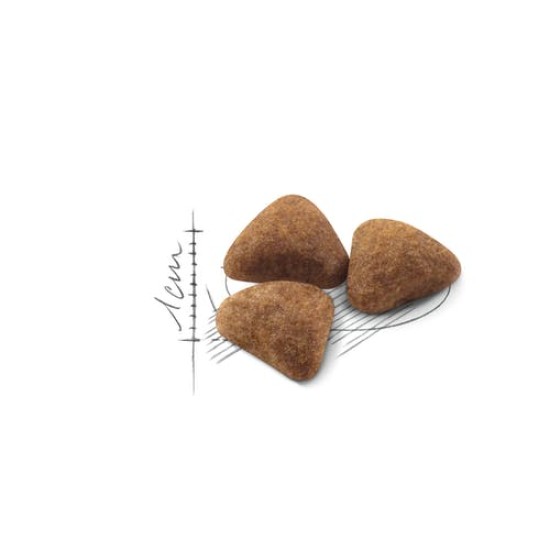 Royal Canin Indoor 27 4kg