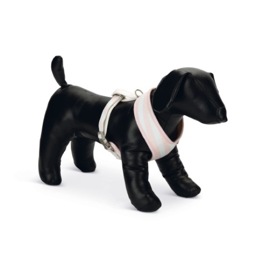 Puppy borsttuig Filana roze S