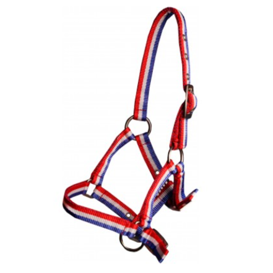 Halster veulen basic rood wit blauw Shet