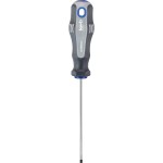 SCHROEVENDRAAIER PLAT 10X200MM