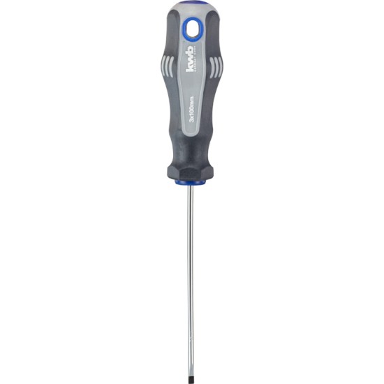 SCHROEVENDRAAIER PLAT 10X200MM