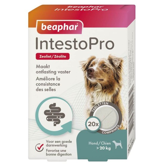 Beaphar IntestoPro hond vanaf 20kg 20st