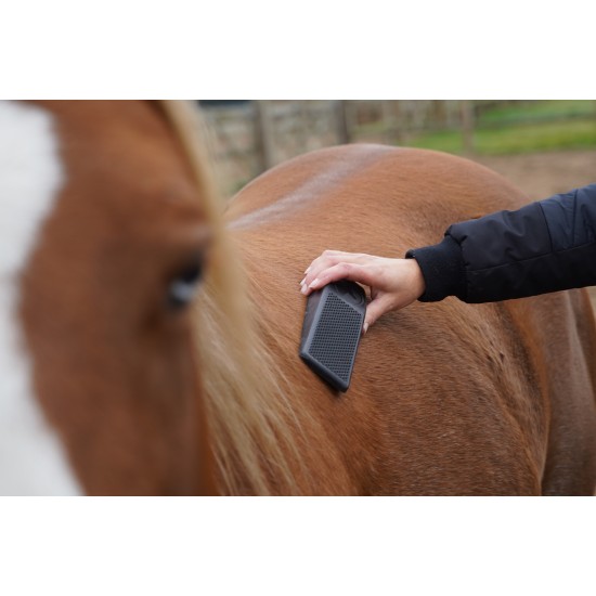 Excellent Horse grooming borstel large zwart