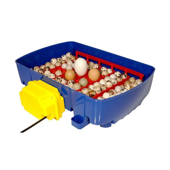 Broedmachine REAL24 automatisch