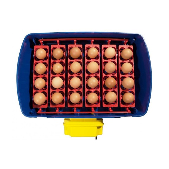 Broedmachine REAL24 automatisch