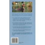 Boek Vogels ontdekken en herkennen