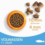 kattenvoer met zeevis