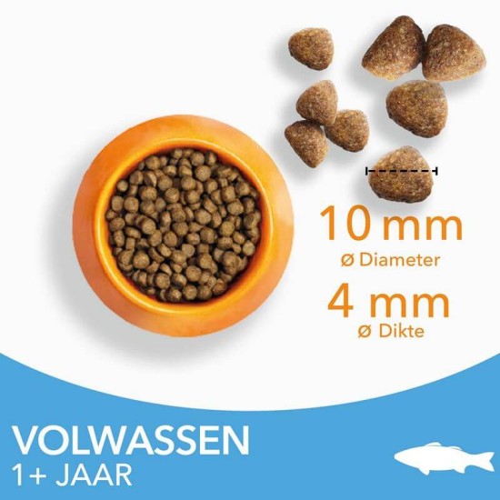 kattenvoer met zeevis