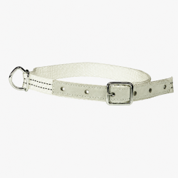 Kalverhalsband nylon met D-Ring