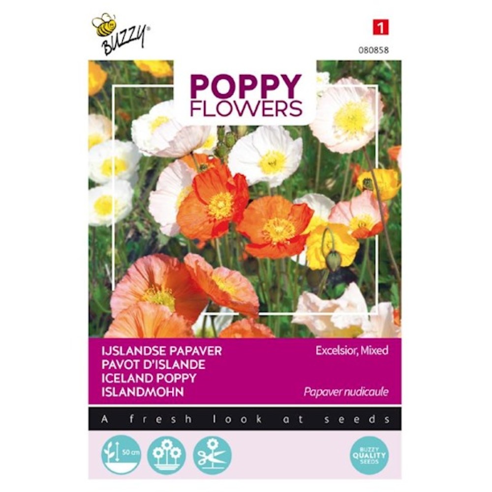 Buzzy® Poppy Flowers, Papaver Deense Vlag - AVRI Bloem- en Tuincentrum