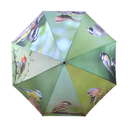 Paraplu vogels