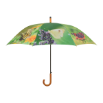 Paraplu vlinders