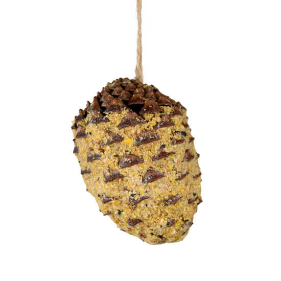 Gevulde dennenappel aan touw