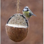 Gevulde kokosnoot 3/4 aan touw