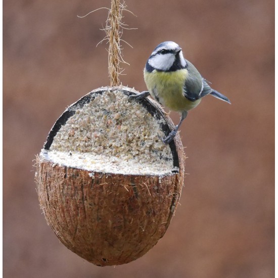 Gevulde kokosnoot 3/4 aan touw