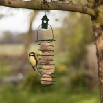 Rechte vogelvoederveer