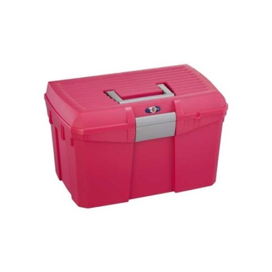 Luxe poetskist fuchsia