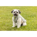 Hondenjas Bobby 40cm