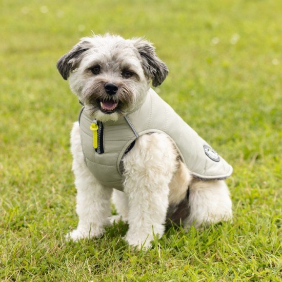 Hondenjas Bobby 24cm