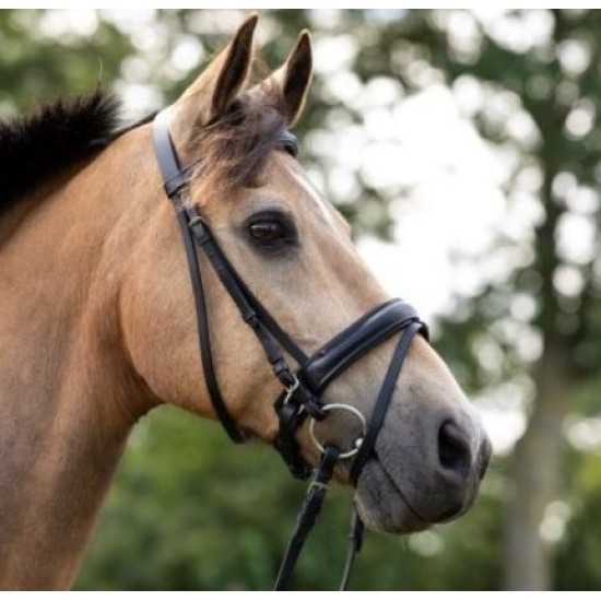 Hoofdstel Bonfire zwart onderlegd