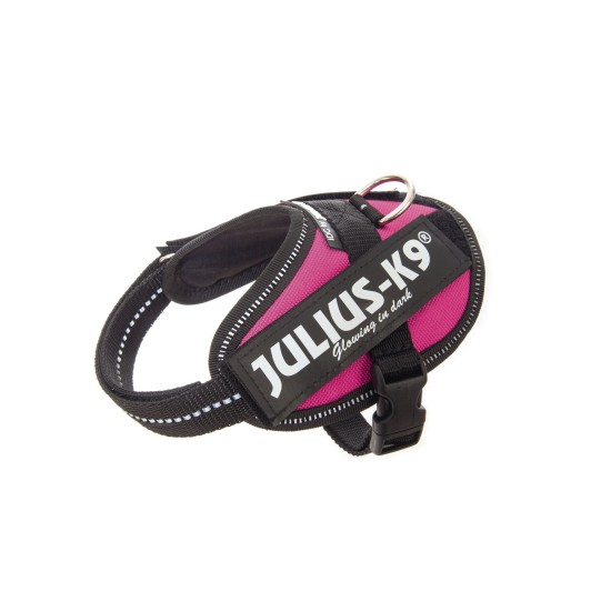 K9 IDC Julius powertuig mini 49-67CM